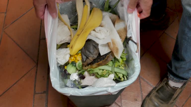Best Dumpster Rental Services  in Larch Y, WA